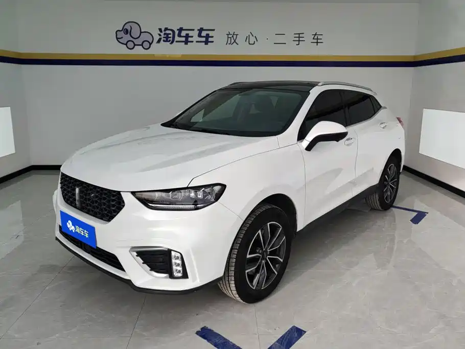 2021 WEY VV5