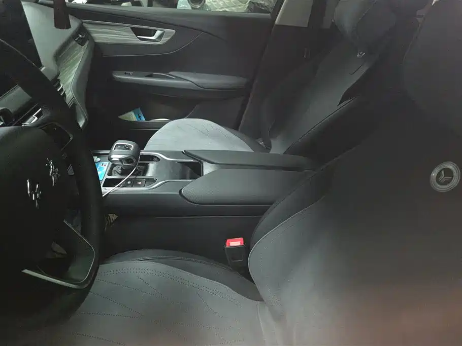 Hongqi E-QM5 2024 Model 610km PLUS фото 7