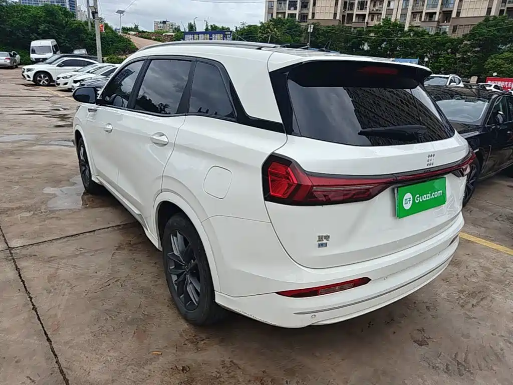Landian E5 2024 2024 Glory Edition 100KM Premium Type 7-Seater