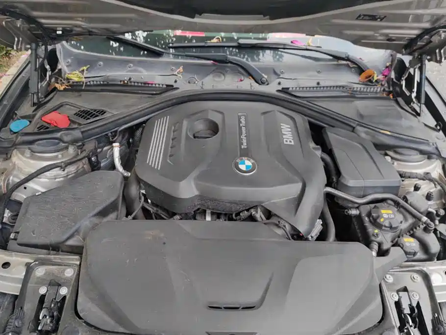 BMW 3 Series 2019 320Li Fashion Type фото 10