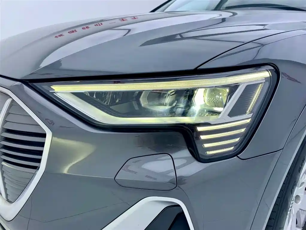 Audi e-tron 2021 50 quattro Luxury фото 7