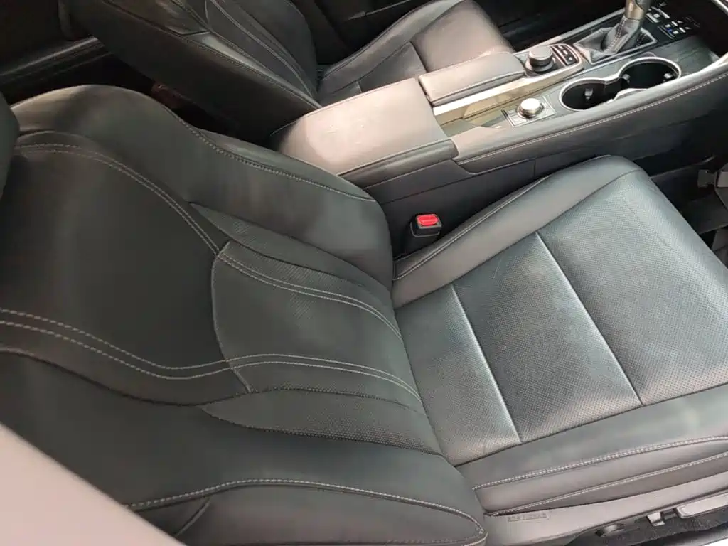 Фото 25 - Lexus RX