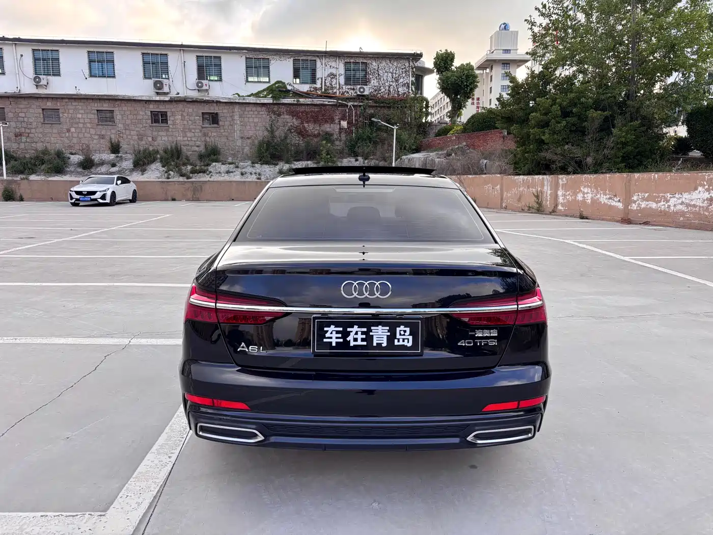 Audi A6L 2020 40 TFSI Luxury Elegance фото 6