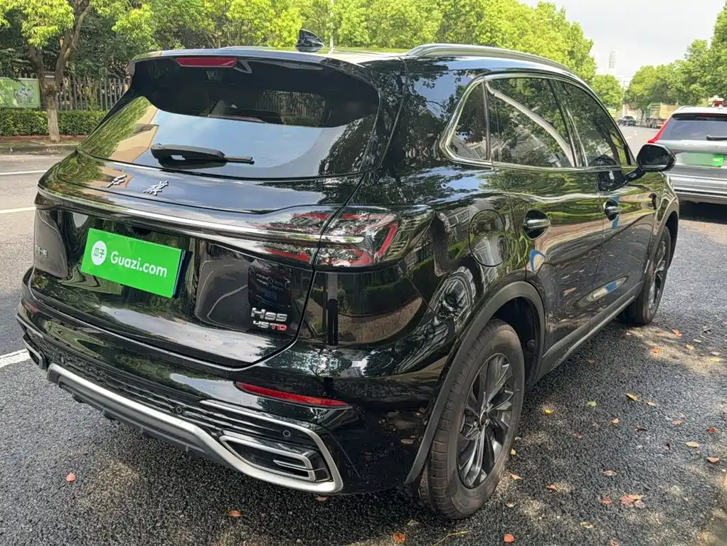 Фото 6 - Hongqi HS5