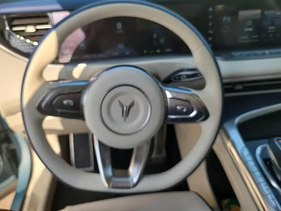Voyah Auto VOYAH FREE 2021 4WD Extended Range Launch Edition Exclusive Luxury Package фото 15