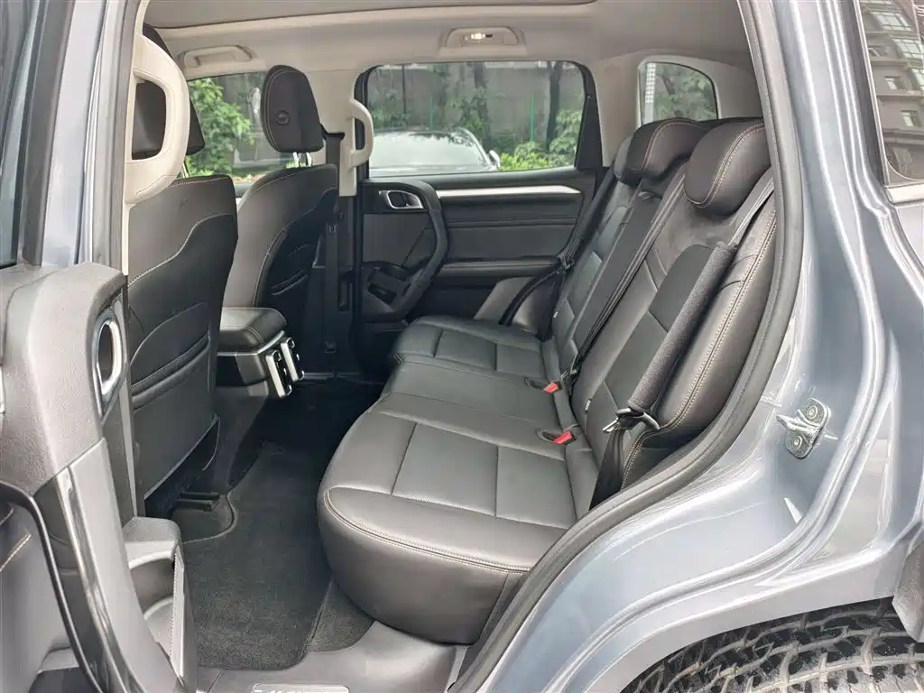 Haval Big Dog 2022 2.0T DCT 4WD Chinese Rural Dog Hunting Edition фото 13