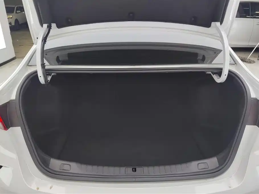 Buick Verano 2023 Pro GS Wind Hunter Edition фото 4