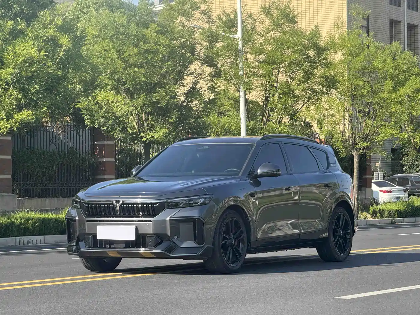Voyah Auto VOYAH FREE