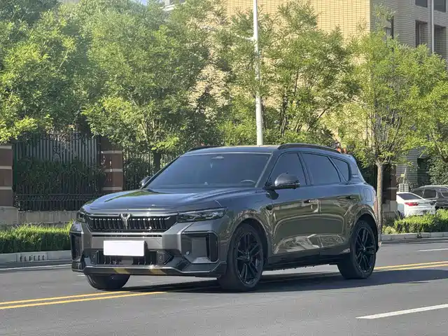  Voyah Auto VOYAH FREE 2025 318 318km RWD Touring Edition