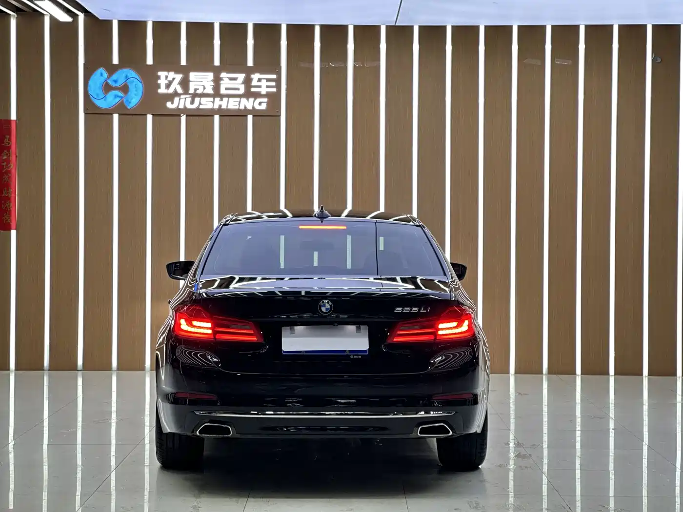 BMW 5 Series 2018 528Li Launch Special Edition фото 5