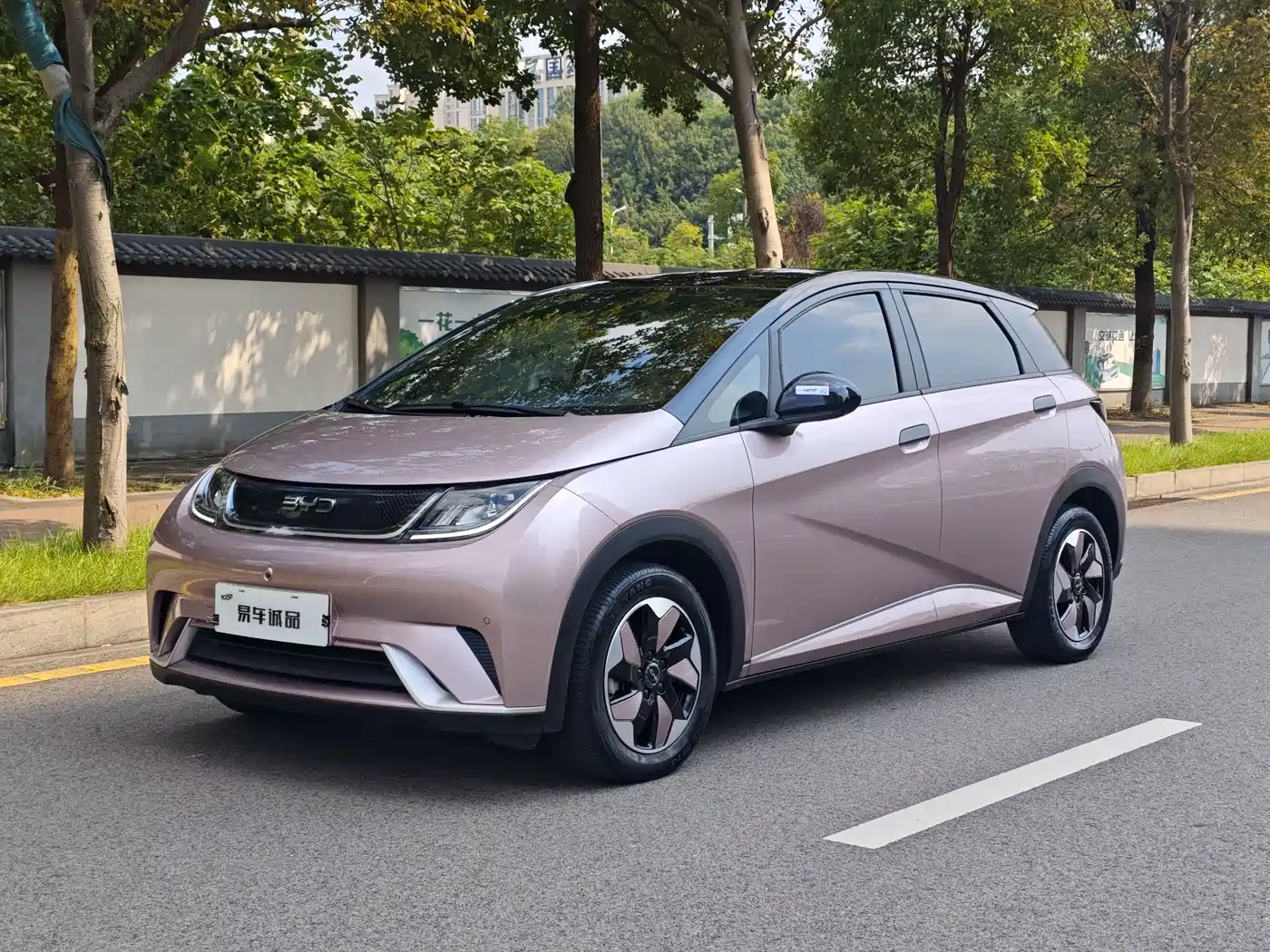 BYD Dolphin 2025 420km Fashion Edition