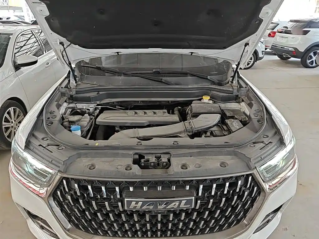 Haval H6 2023 National Trend Edition 1.5T Automatic Champion фото 20