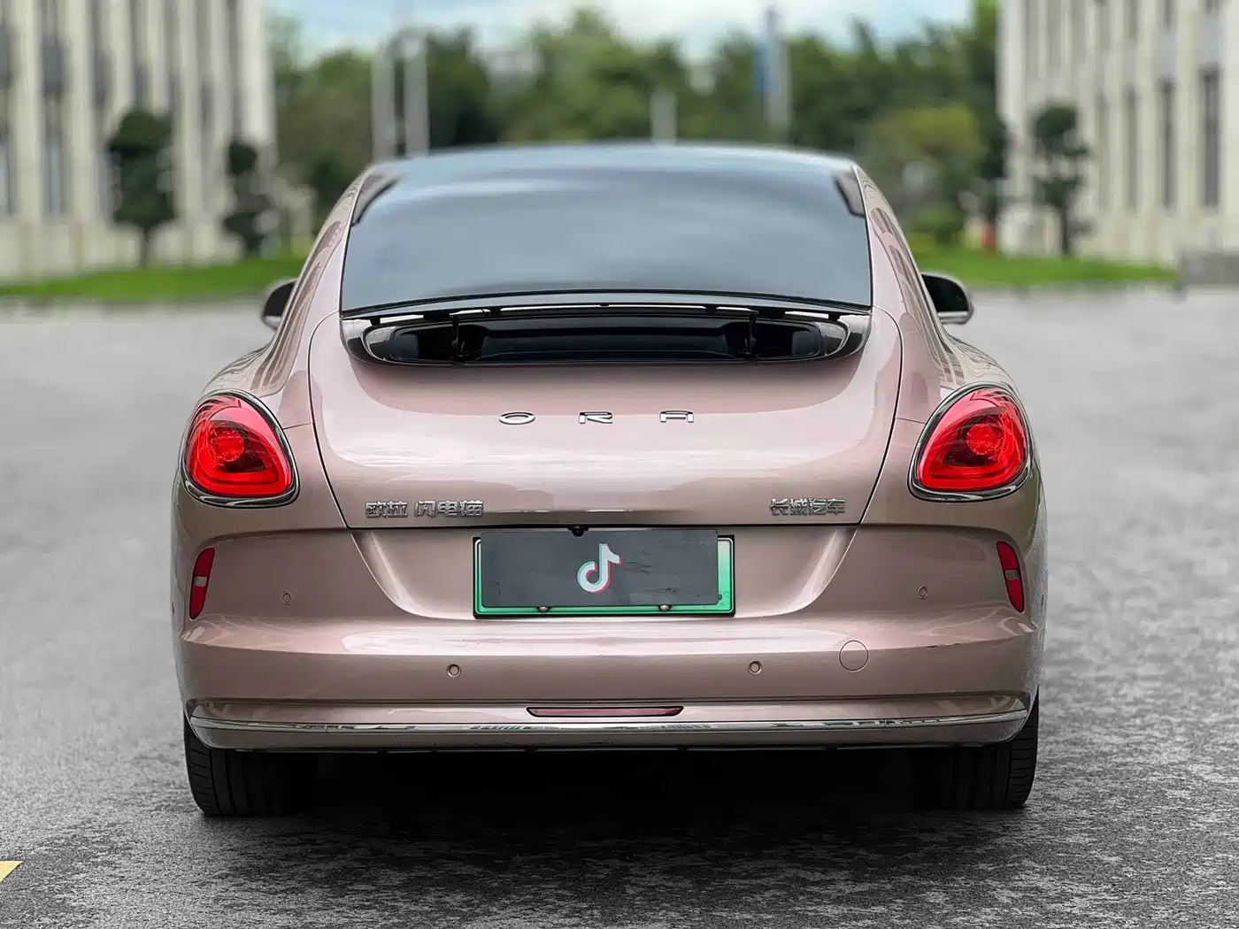 Ora Lightning Cat 2023 2022 600km AWD High Performance Edition