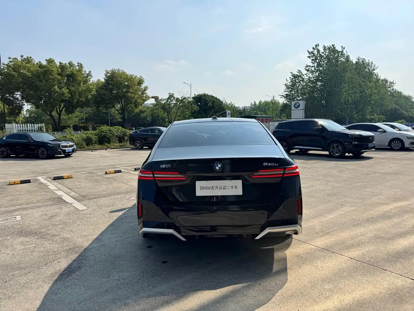 BMW 5 Series 2024 530Li Leading M Sport Package фото 9