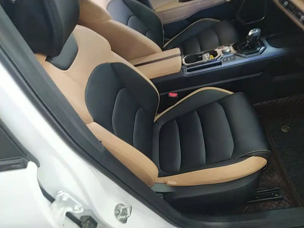 Geely ICON 2024 2023 1.5TD Protagonist