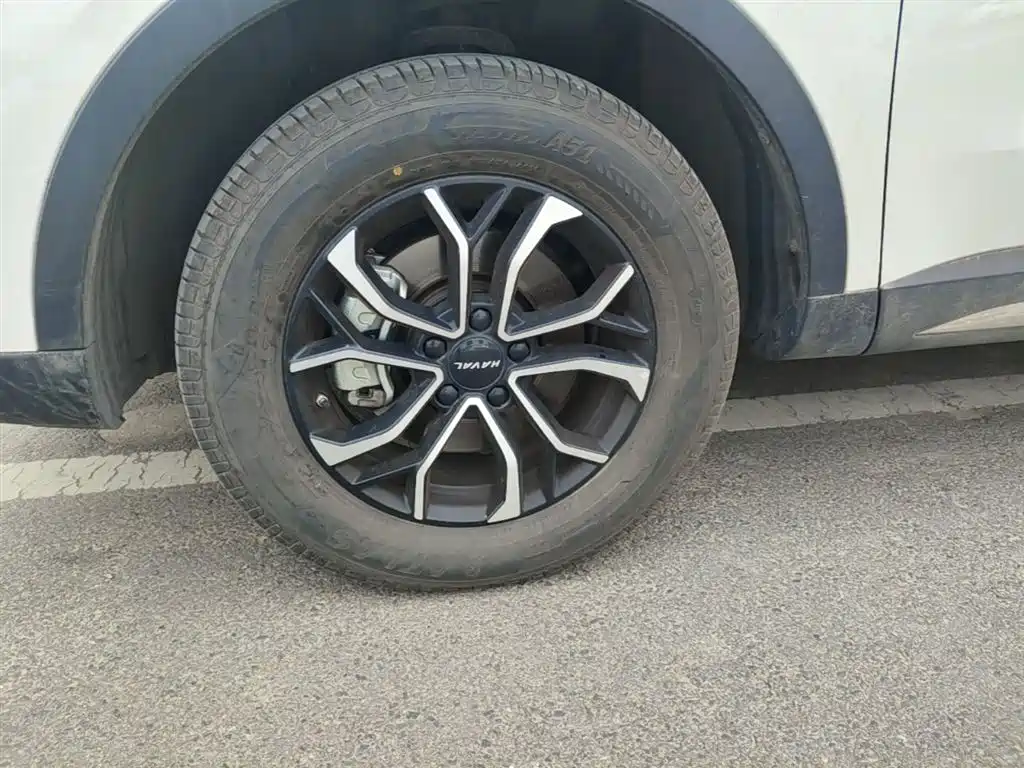 Haval H6 2023 National Trend Edition 1.5T Automatic Urban фото 23