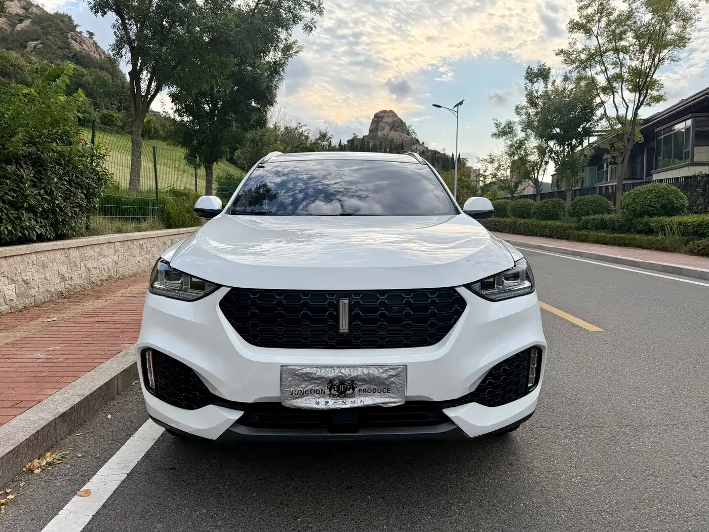 WEY VV6 2019 2018 2.0T 2WD Flagship China V