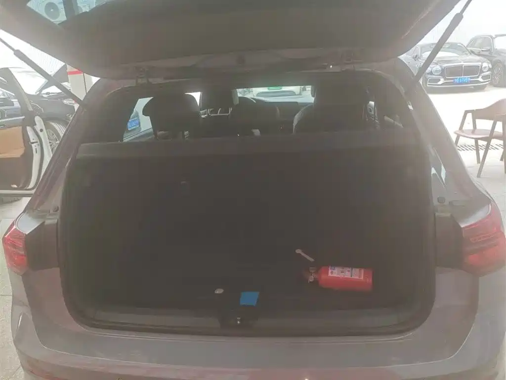 Volkswagen Golf 2021 280TSI DSG R-Line фото 8