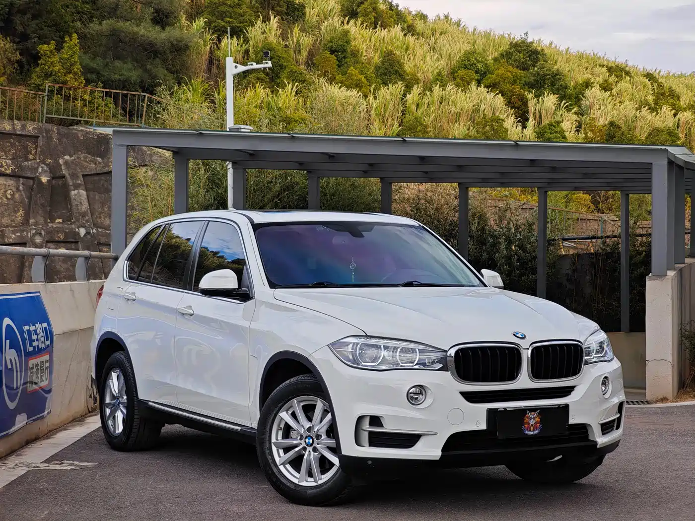 BMW X5 (Import) 2017 xDrive35i Luxury Edition фото 3