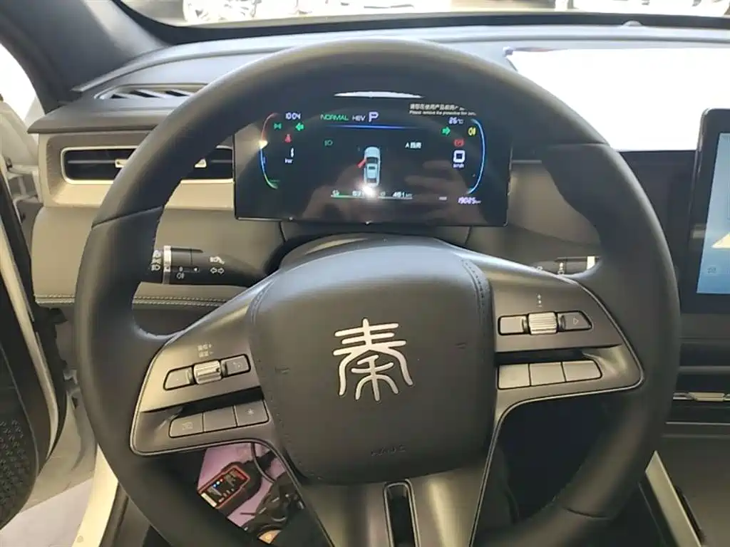 BYD Qin PLUS 2025 DM-i Smart Drive 55KM Leader фото 11