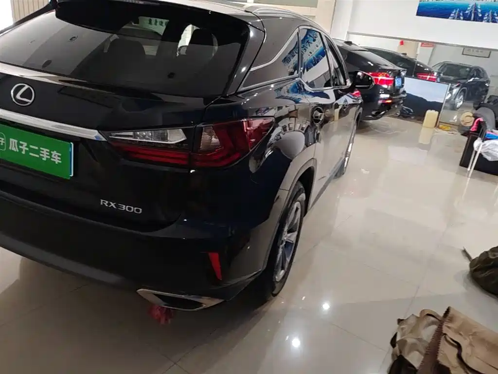 Lexus RX 2016 300 2WD Elite Edition (China V) фото 8