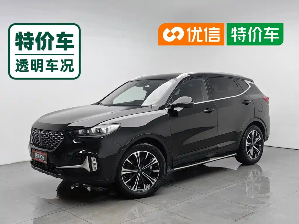 2021 WEY VV6