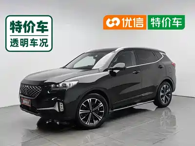 Wey VV6