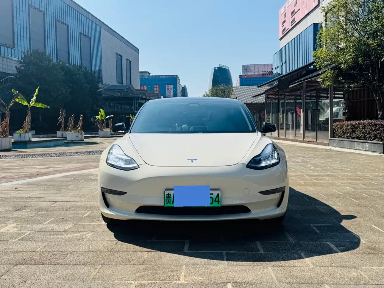 Tesla Model 3 (Import) 2019 2019 Long Range RWD Version