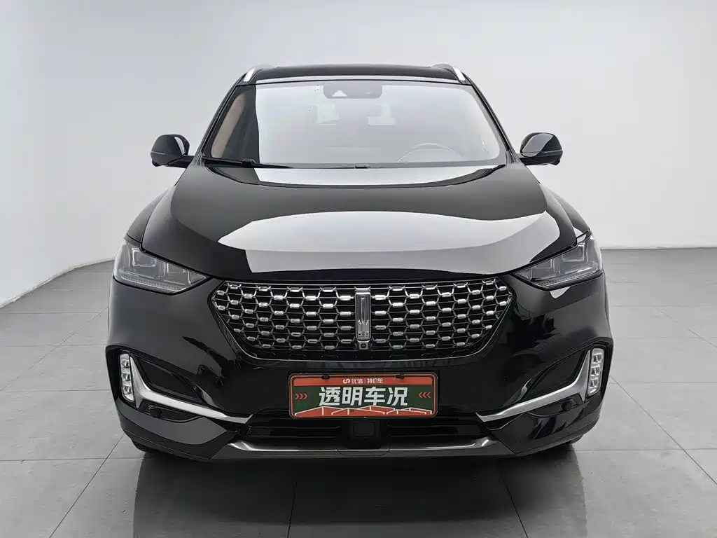 2021 WEY VV6