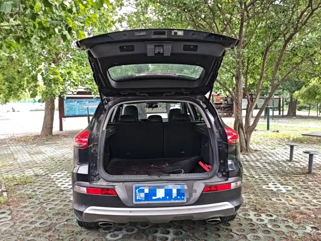 Leopaard CS10 2015 2015 2.0T Manual Excellence Edition