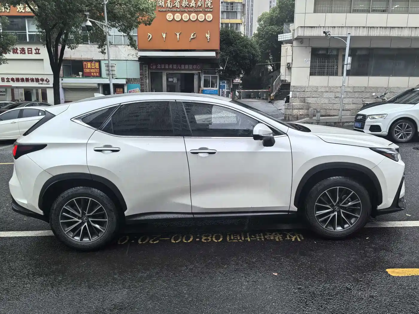 Lexus NX 2024 2023 350h FWD Dynamic Edition