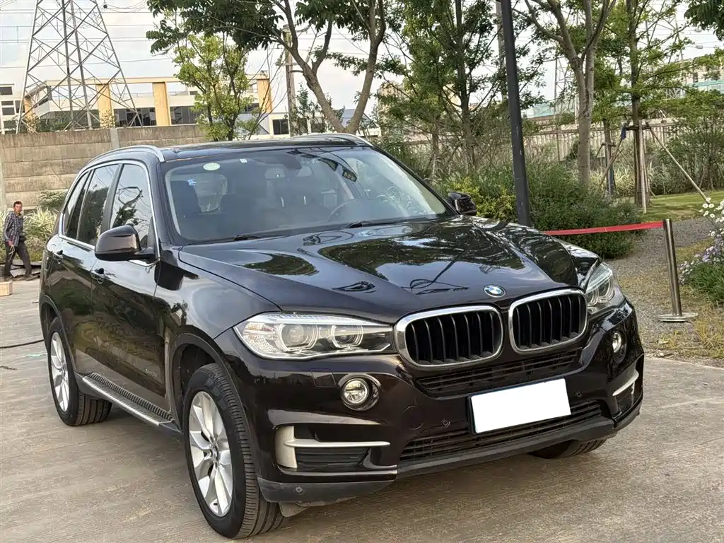 BMW X5 (Import) 2014 xDrive35i Elegance фото 3