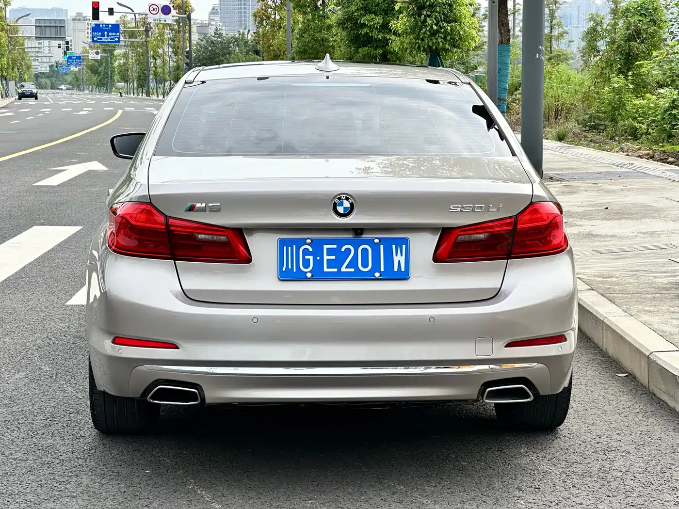 BMW 5 Series 2019 530Li Leading Luxury Package фото 6