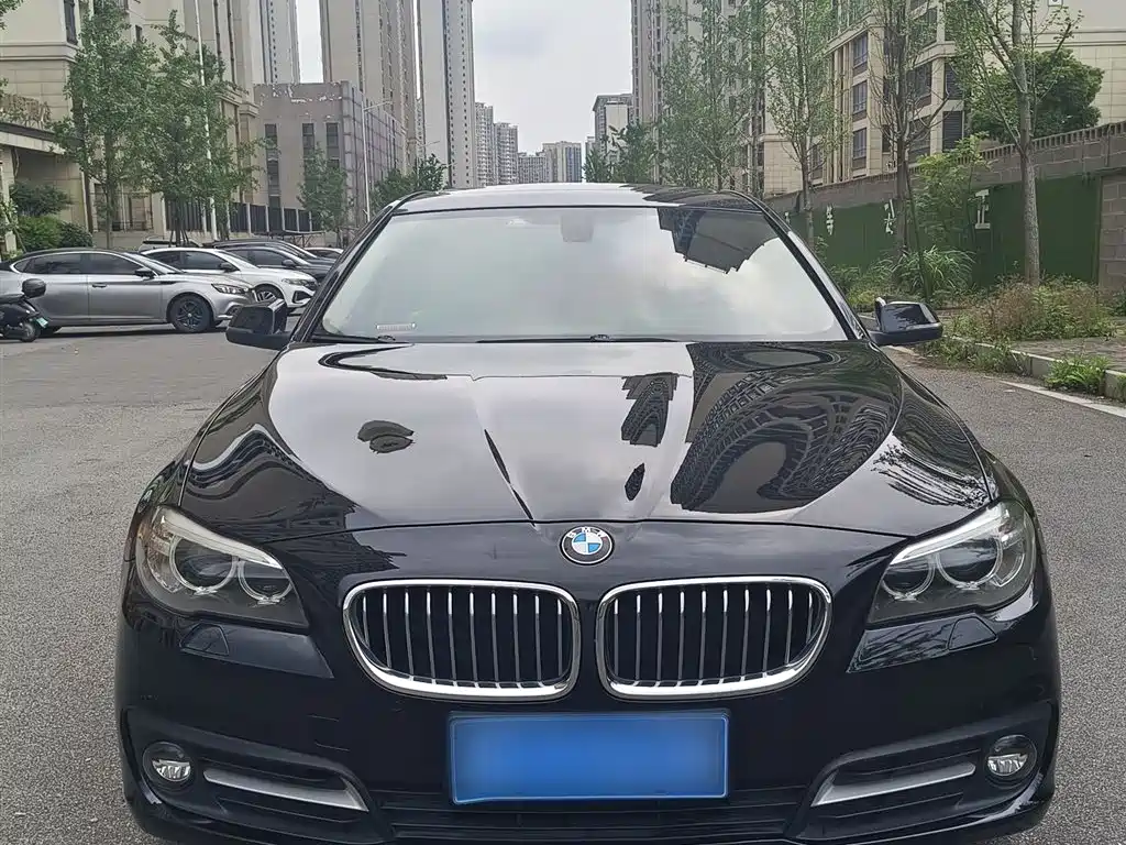 BMW 5 Series 2014 520Li Elegance фото 3