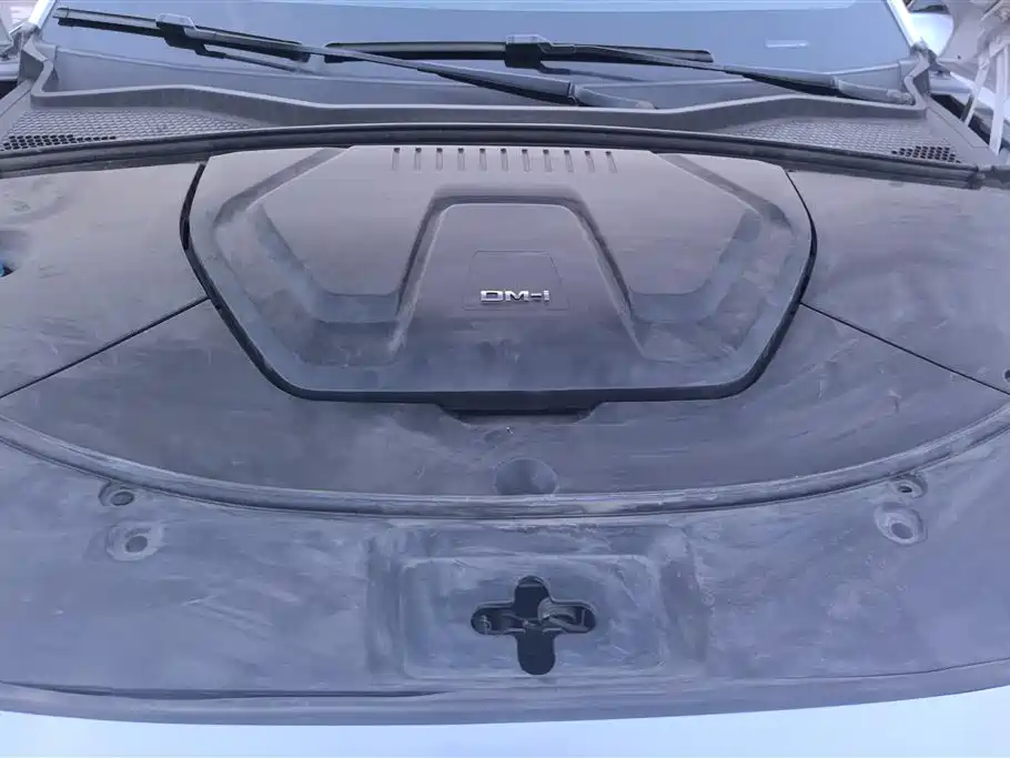 BYD SONGJIANG NEW ENERGY