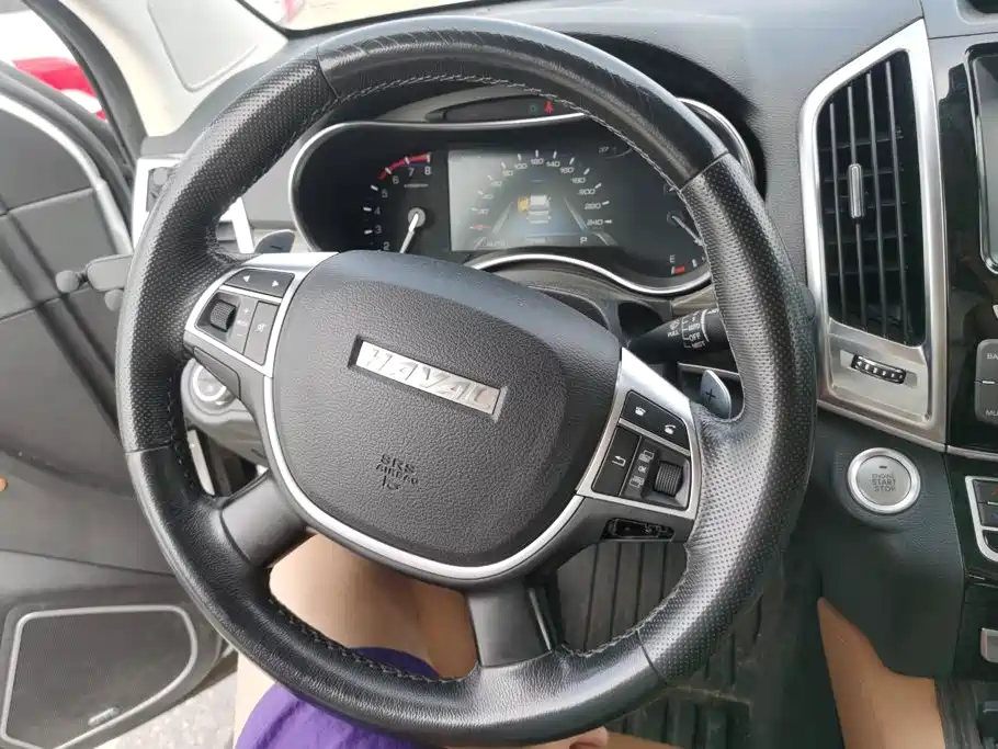 Photo 15 - Haval H9