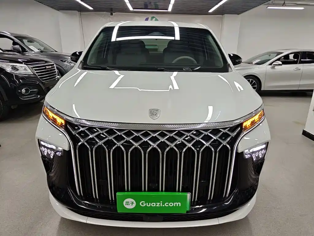 2025 Dongfeng Fengxing Starlight V9