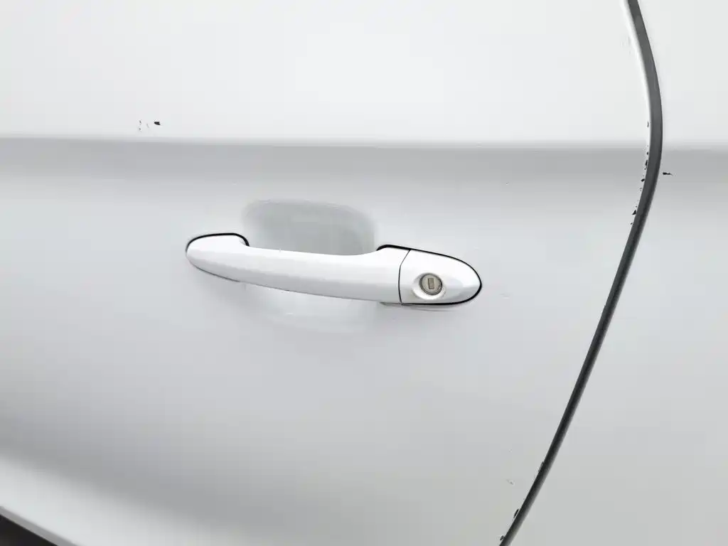QQ New Energy Little Ant 2024 2024 251km Passion Edition