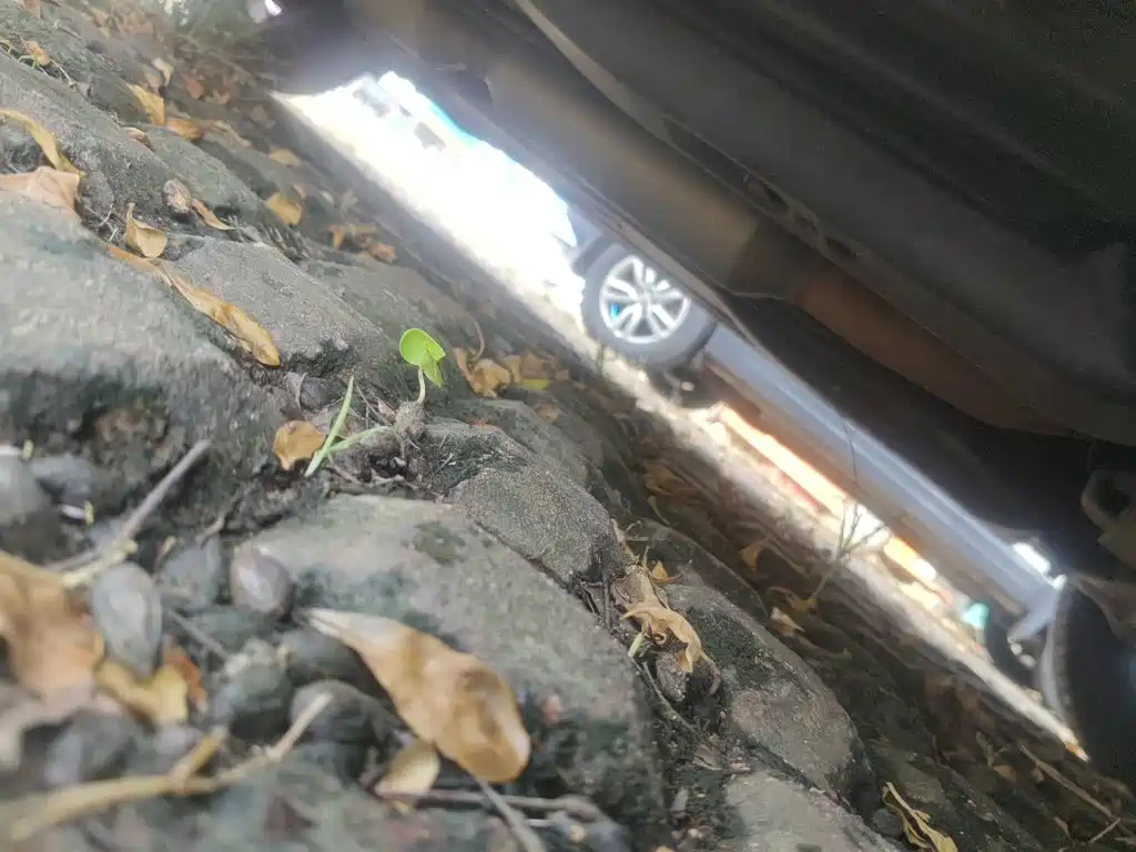 Suzuki Vitara 2018 2016 1.4T Auto 2WD Elite Model