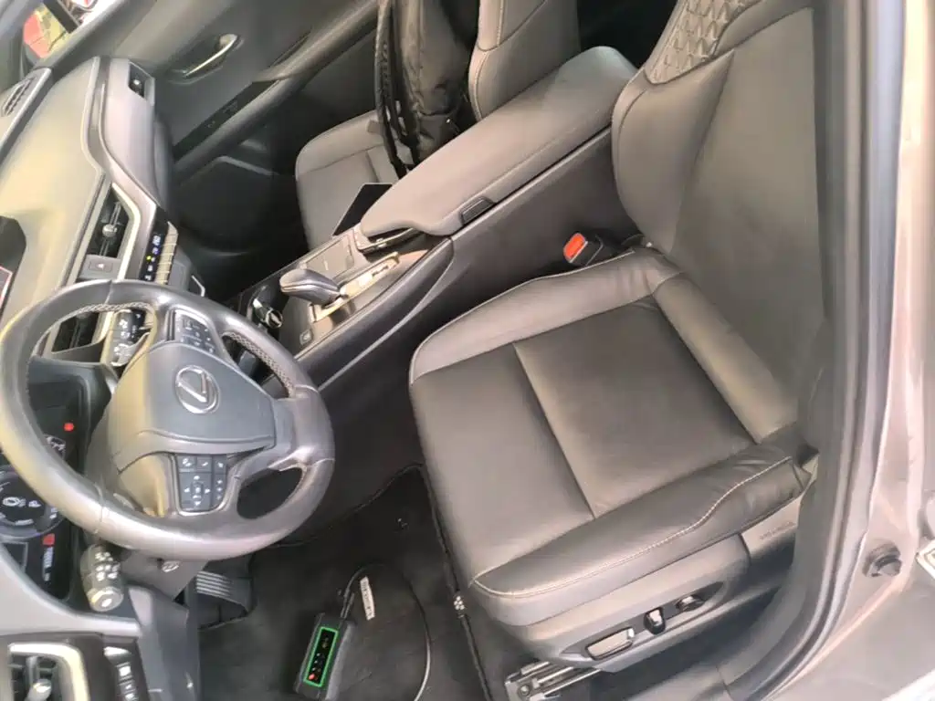 Lexus UX Electric 2022 2020 300e Pure Yue Edition