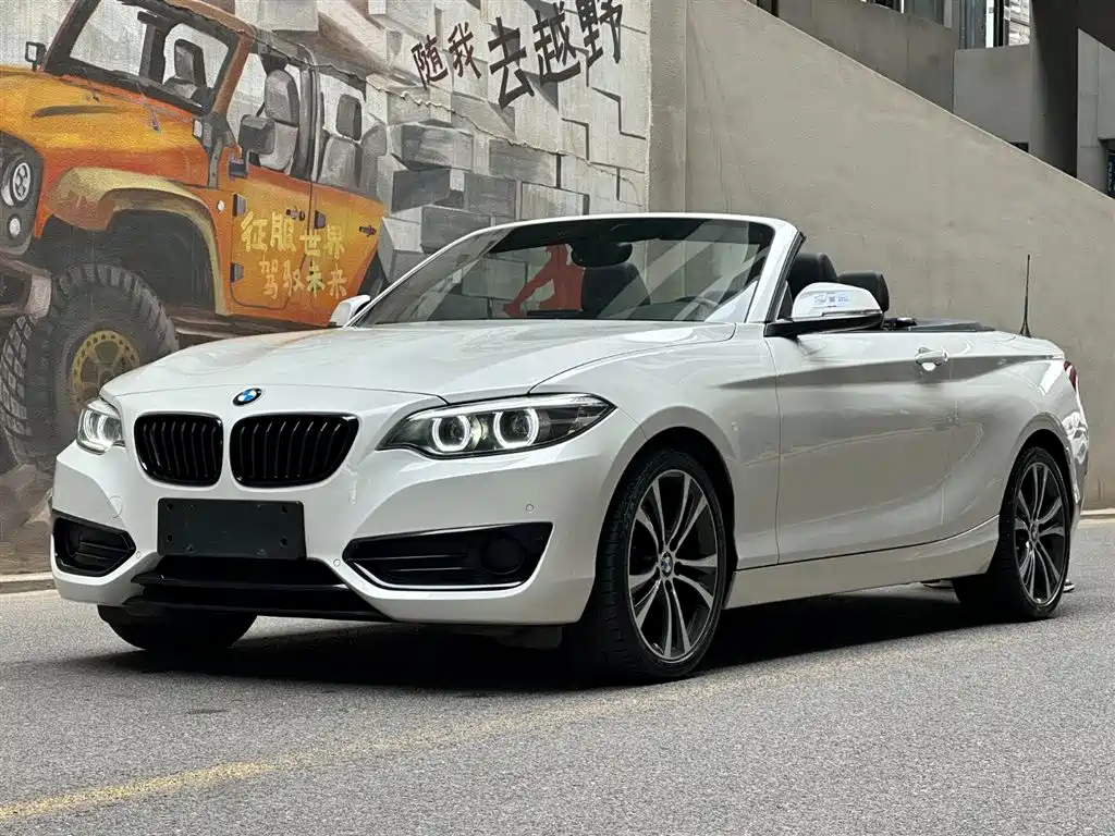 BMW 2 Series (Import) 2019 225i Convertible Coupe Sport Design Package