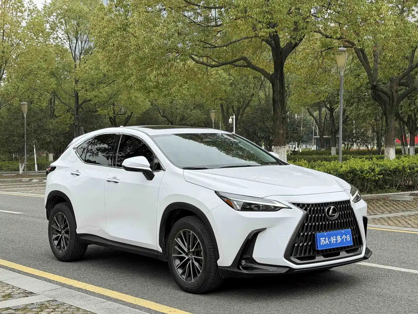 LEXUS NX