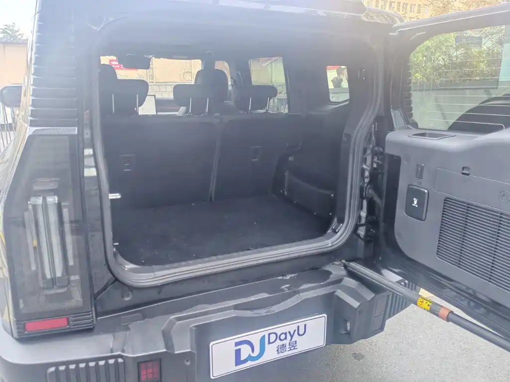 Jetour Shanhai T2 2024 2024 C-DM 208KM Wilderness Edition
