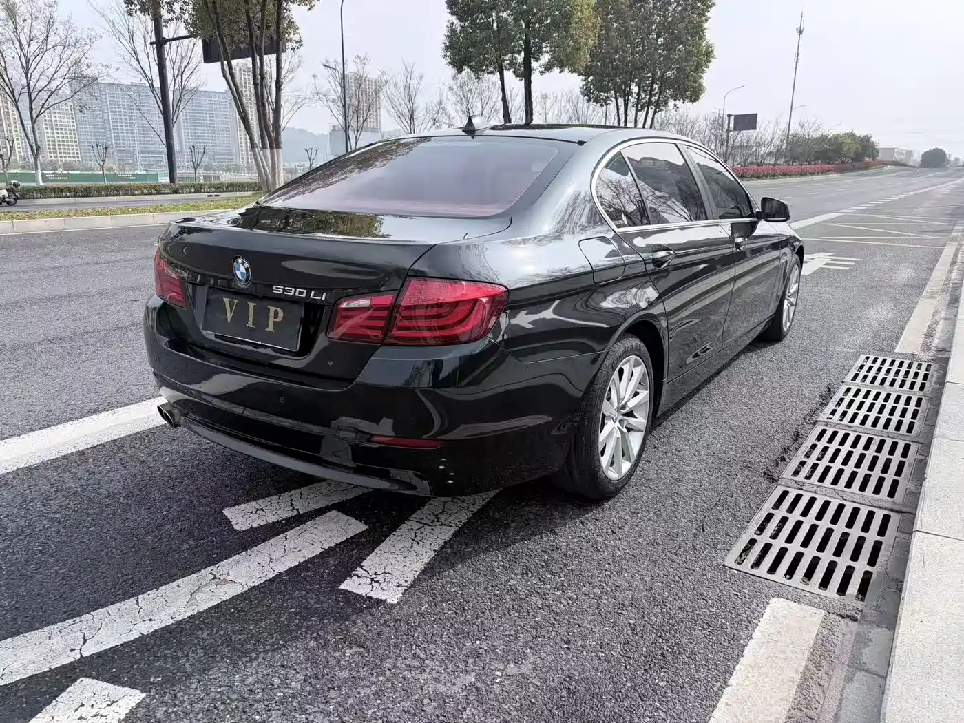 BMW 5 Series 2013 530Li Leadership фото 6