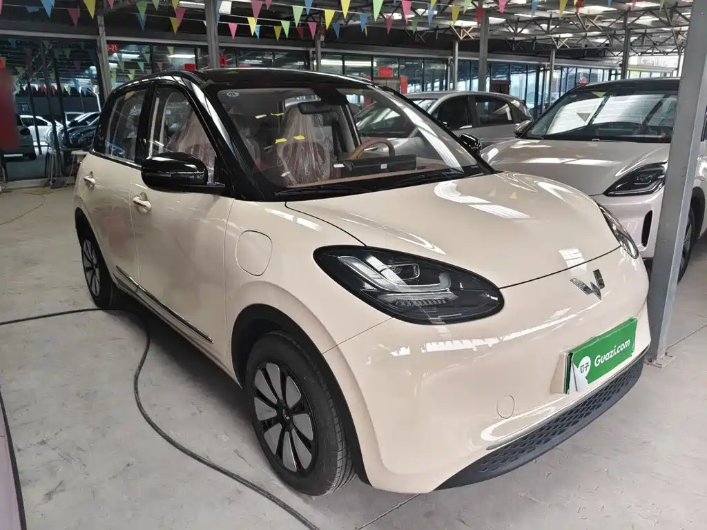 Wuling Motors Wuling Bingo 2026 2025 Model 333km Joy Edition