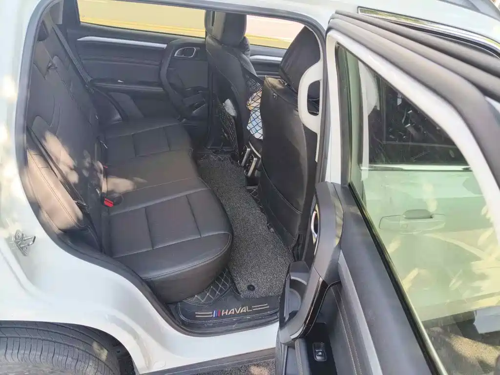Haval Dargo 2021 2021 1.5T DCT 2WD Border Collie - Wangcai Edition