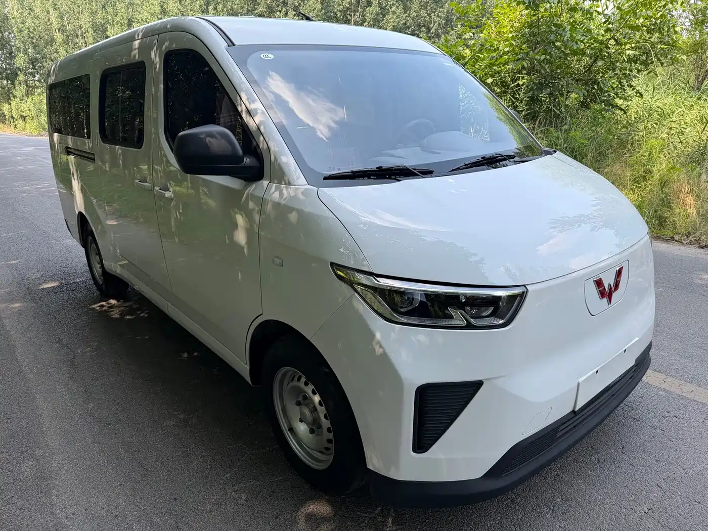 Фото 1 - Wuling Motors Wuling Yangguang