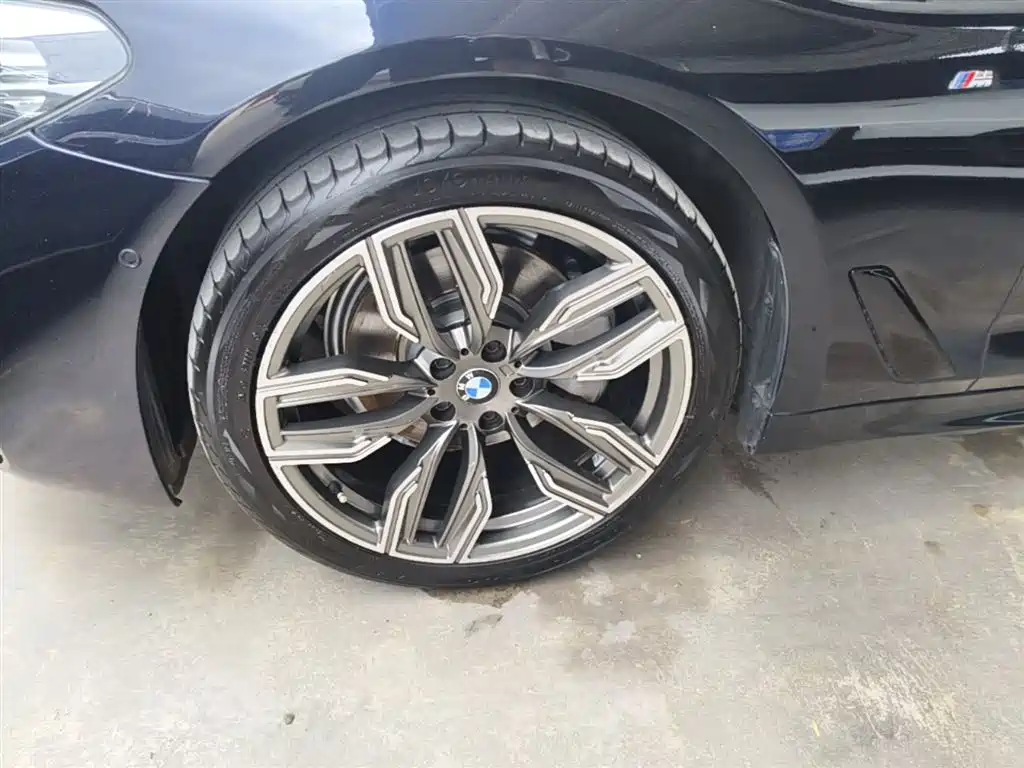BMW 5 Series 2019 525Li M Sport Package фото 23