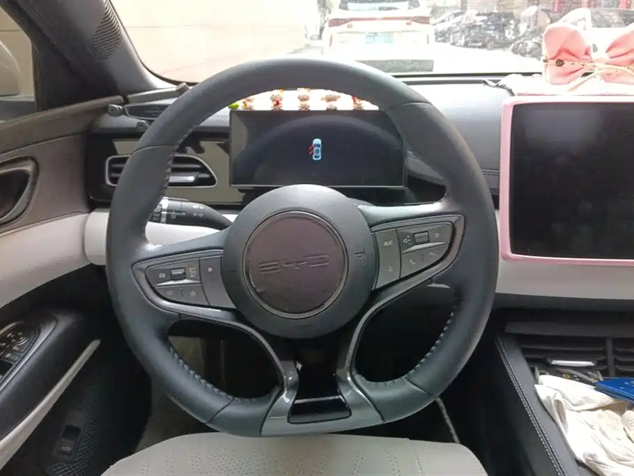 BYD Seal 06 New Energy 2024 DM-i 80KM Prestige фото 15