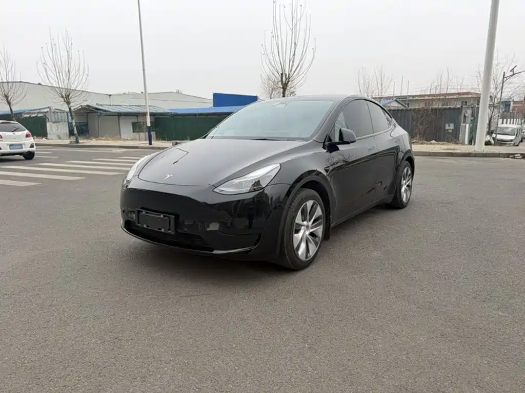 Tesla Model Y 2022 Rear-Wheel Drive Version
